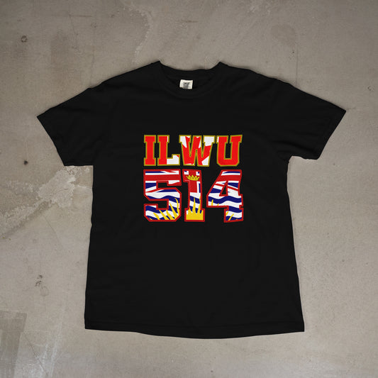 514 Flag Inset