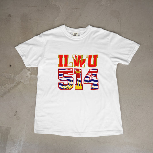 514 Flag Inset